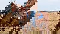 Cherry Blossom Sorrel Quarter Pony Mare