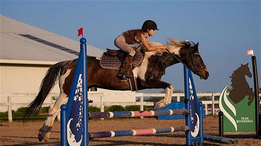 4H - Trail - Jumping - APHA Tovero Paint Mare