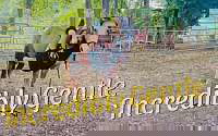 Buckskin Quarter Horse Gelding Quarter for Tahlequah, OK
