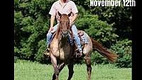 100% Family Safe, Ranch-Trail-Sorting-Roping Buckskin Quarter Horse Gelding