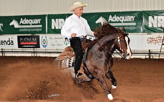 Red Roan Quarter Champion Reining Horse Gelding Quarter for Pilot Point, TX