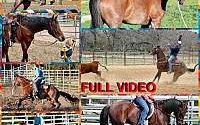 All-Around Barrels, Poles, Heel, Break Away Bay Roan Quarter Horse Gelding Quarter for Harper, TX