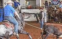 Finished Heel Horse, Ranch Black Appaloosa Gelding Appaloosas for Louisville, KY