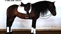 Amazing Must See Horse, Tricks Bay Friesian Gelding