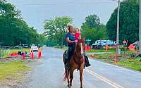 Well-Rounded Dun Gelding Quarter for Tahlequah, OK