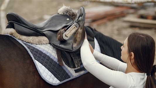 Best gaited horse saddle: Top Picks for Optimal Comfort