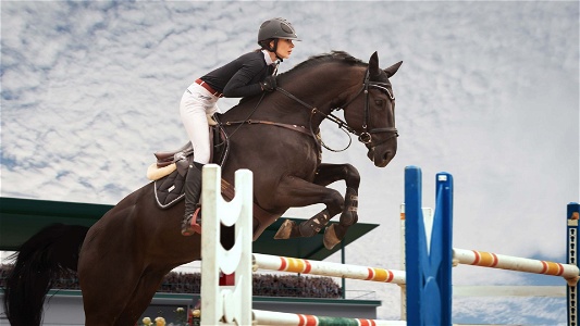 Can Gaited Horses Jump: Top Facts Revealed