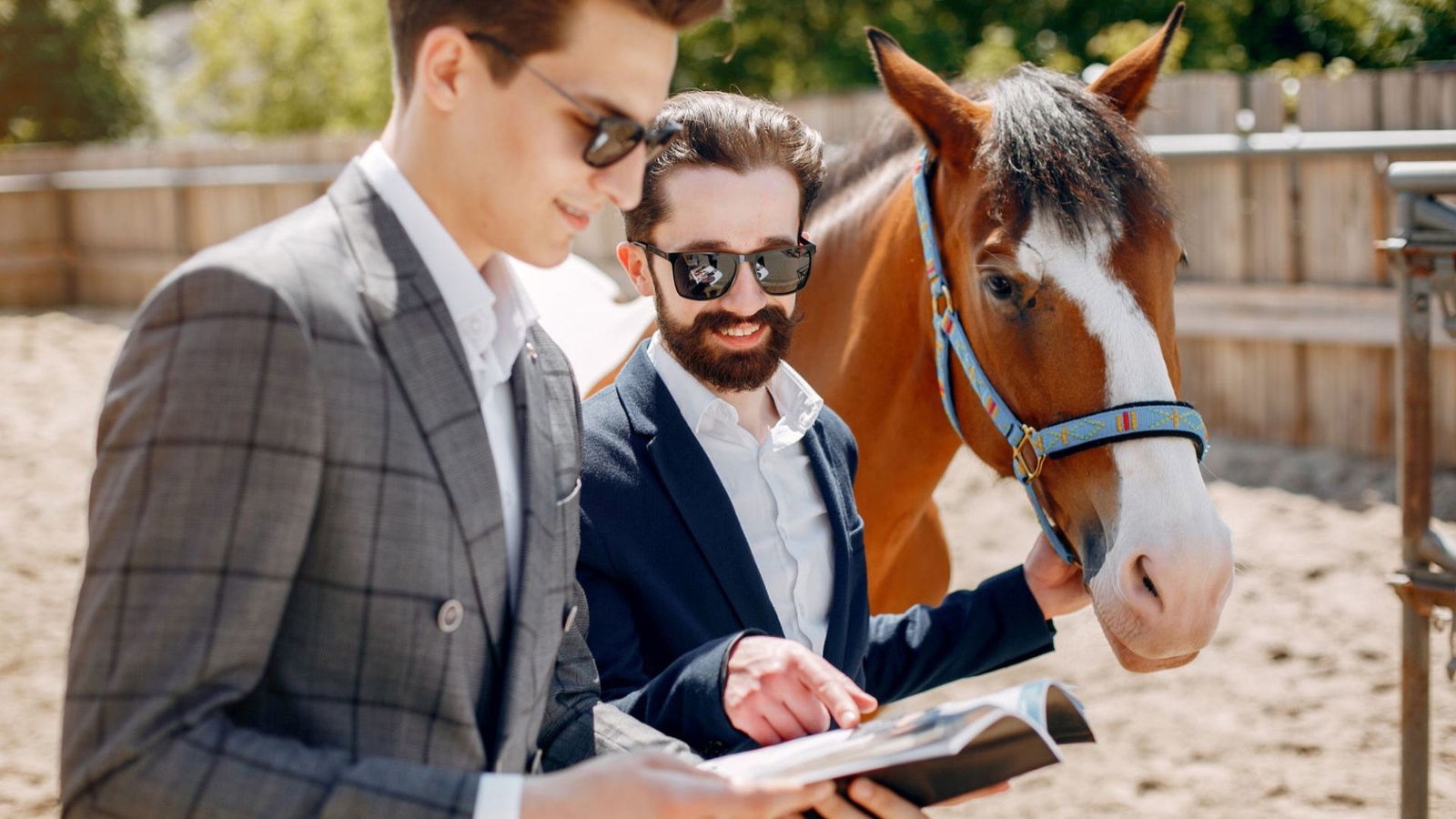 How to start a horse boarding business everything you need to know