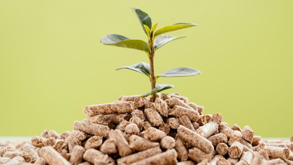 Alfalfa Cubes vs Pellets